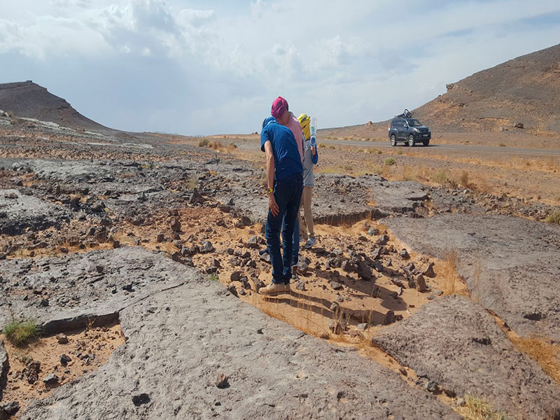 10 days fossils and minerals collecting midlle Cambrian tour from Marrakech