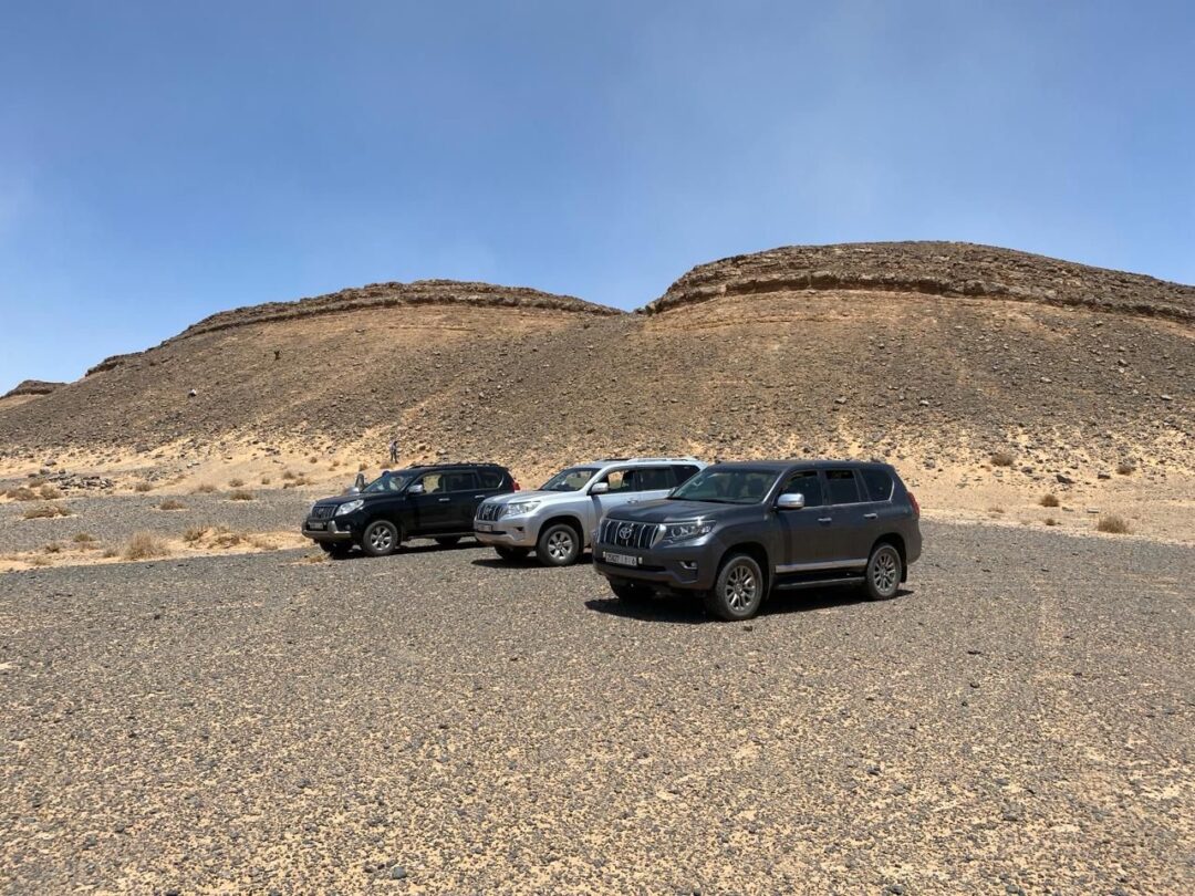 15 days fossils and minerals collecting midlle atlas trip tour from Casablanca