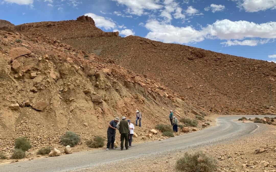 15 days fossils and minerals collecting midlle Boutchrafine tour from Marrakech