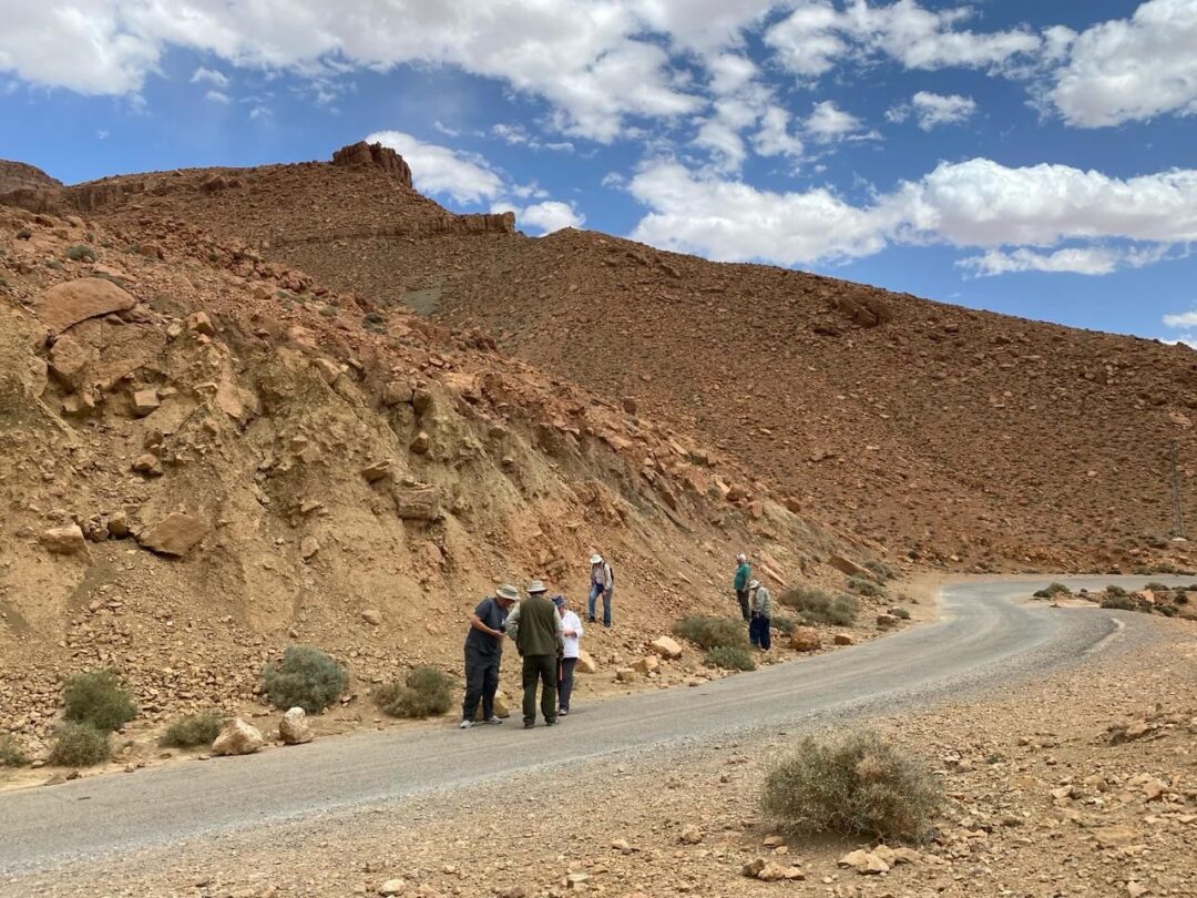 15 days fossils and minerals collecting midlle Boutchrafine tour from Marrakech