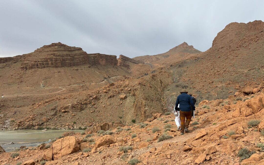 Alnif geological day trip