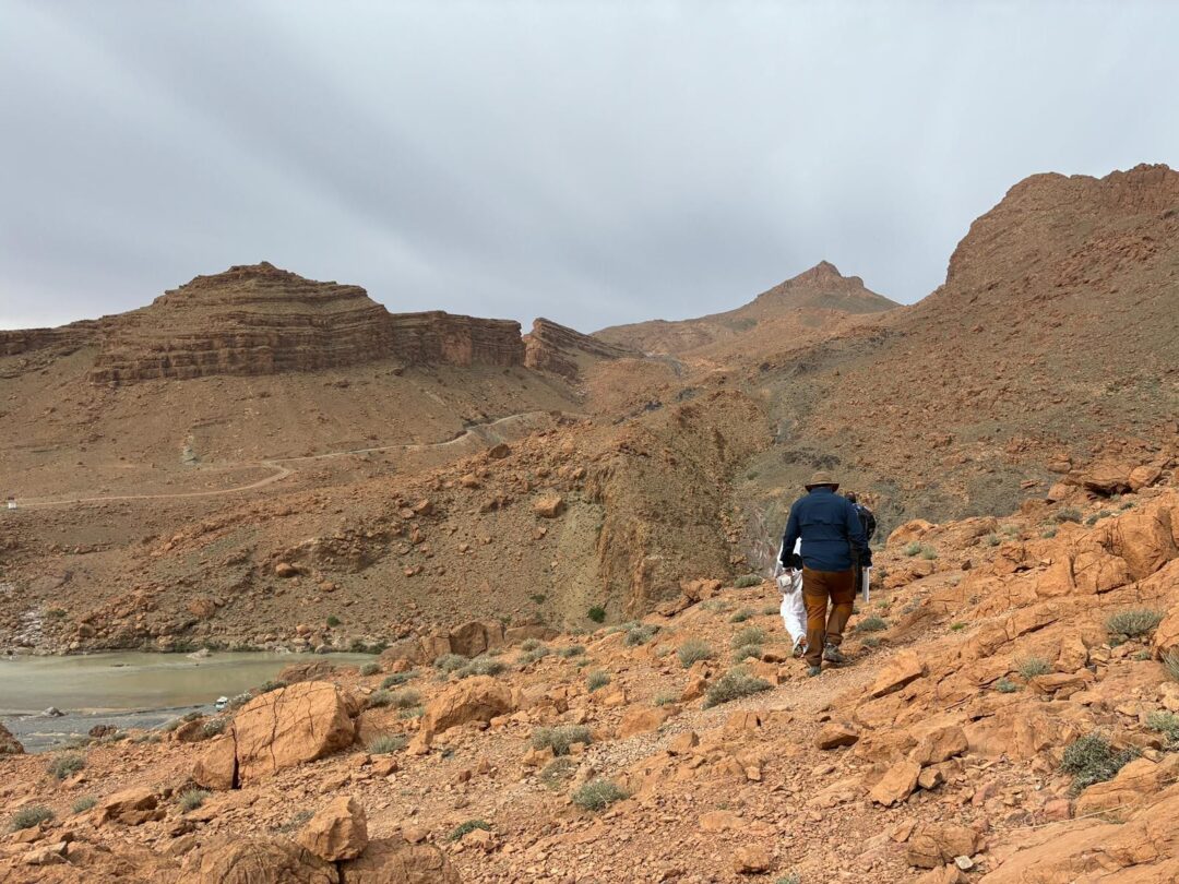 Alnif geological day trip