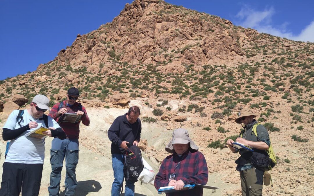 North erg chebbi geological day trip