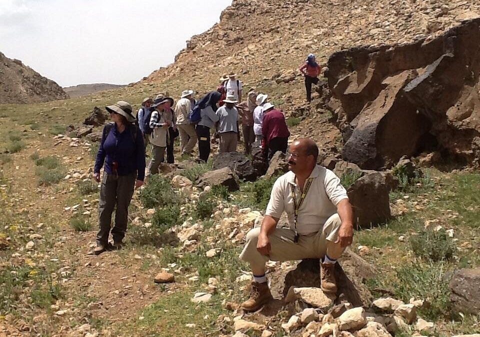 10 days fossils and minerals collecting Hmar Lakhdad tour from Ouarzazate
