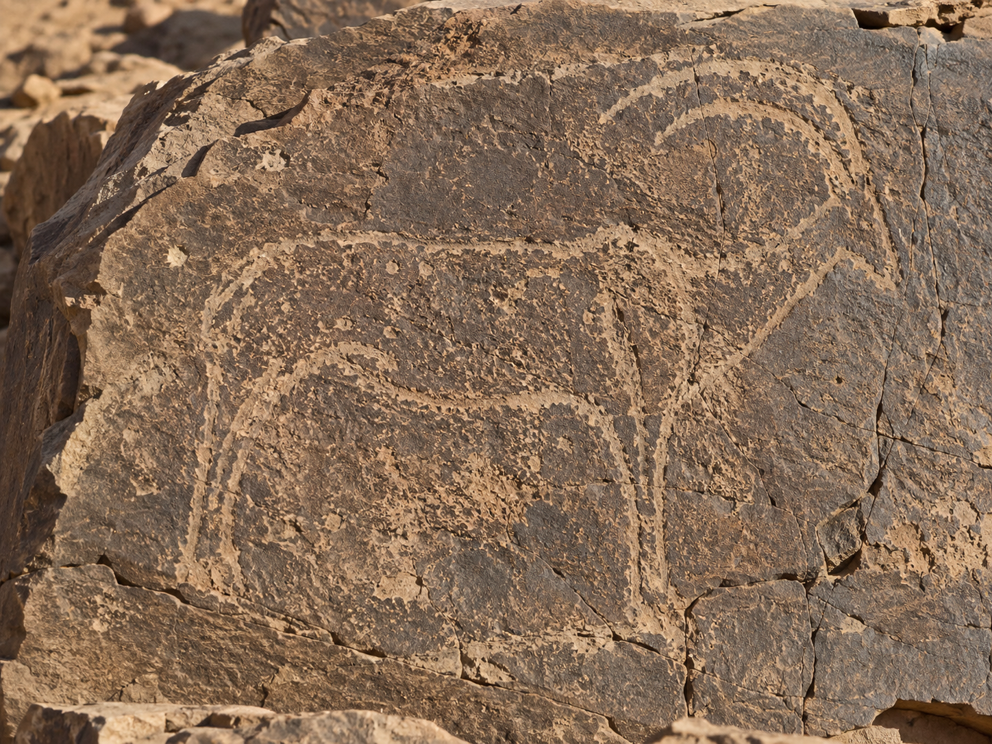 Prehistoric Rock Art in Morocco